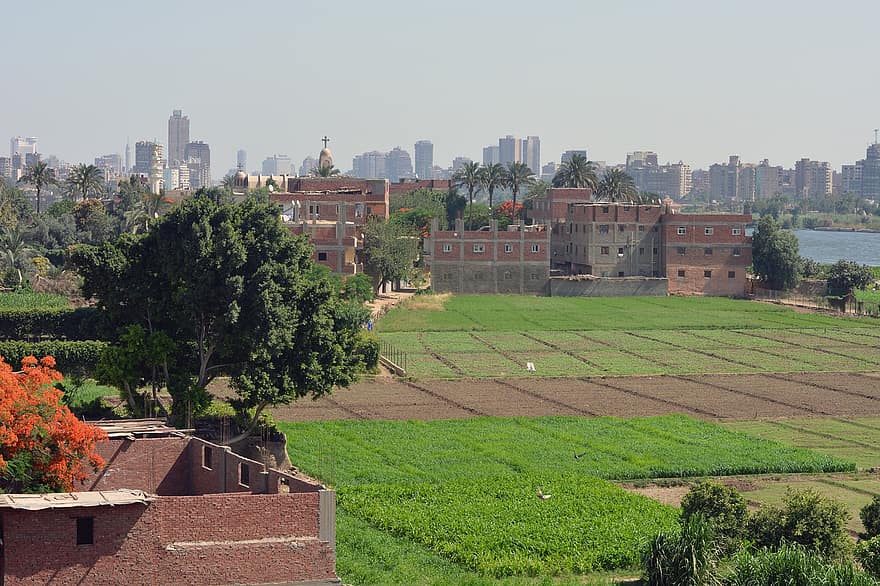 Cairo, rio, Ilha Dahab, cidade, paisagem urbana, Egito, panorama, arquitetura, exterior do edifício, lugar famoso, cobertura