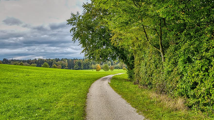 Path, Trees, Grass, Trail, Forest, Woods, Meadow, Grassland, Woodlands, Way, Away