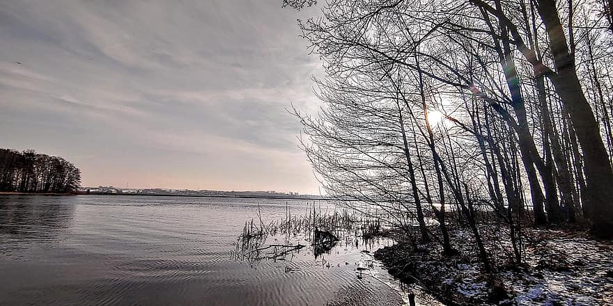Lake, Trees, Horizon, Sunlight, Clouds, Bare Trees, Snow, Winter, Water, Calm Water, Branches