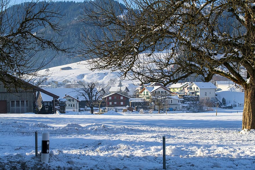 겨울, 도시, 스위스, 눈, 주택들, 옥외, 눈이 내리는, 나무, 얼음, 경치, 시즌