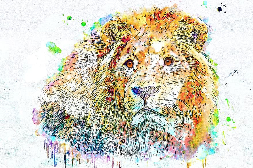 løve, vild, dyr, kunst, abstrakt, akvarel, cub, drikke, natur, kat, årgang