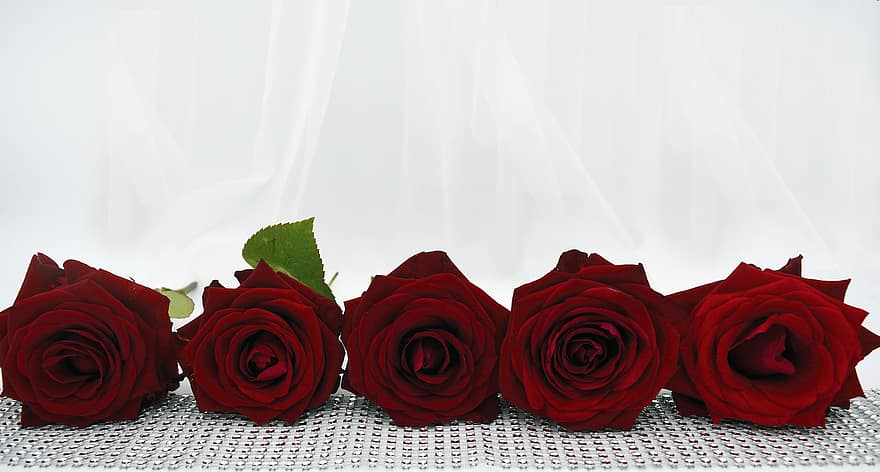 mawar mawar merah, berlian buatan, rhinestones, pernikahan, cinta, kain tule, kerudung, romantis, hubungan, valentine, dekorasi