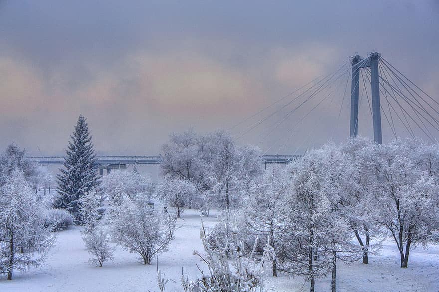 зима, Сибир, река Йенисей, Красноярск, Красноярски мост, Русия, сняг, мост, дърво, пейзаж, гора