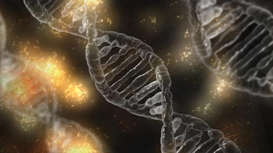 DNR, mikroskopinis, ląstelę, genas, spiralė, mokslas, medicinos, biologija, genetinis, medicina, molekulės