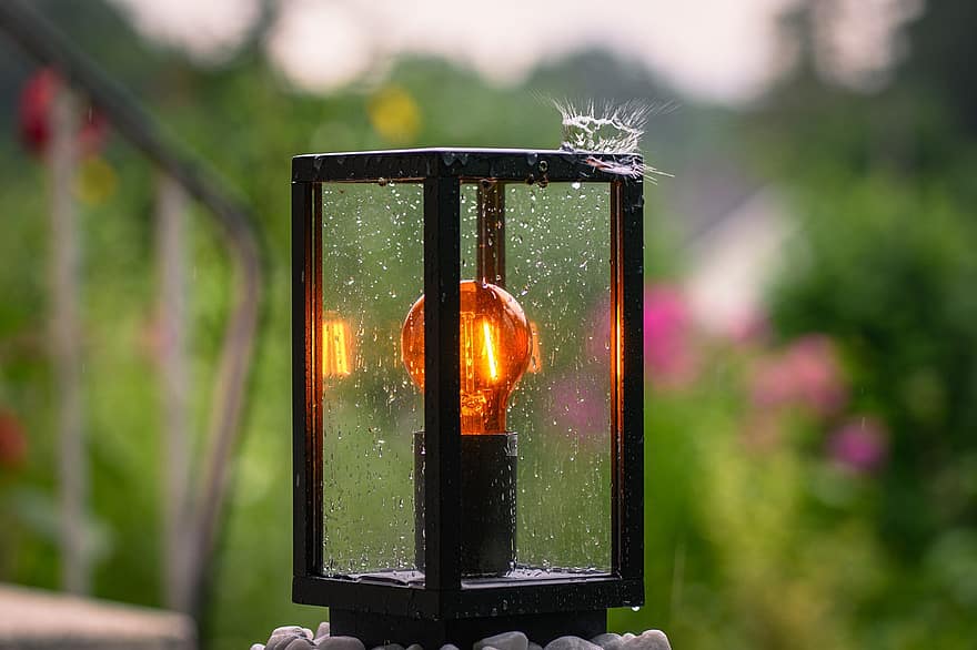 Lamp, Light Bulb, Garden, glass, window, close-up, backgrounds, electric lamp, lighting equipment, green color, illuminated