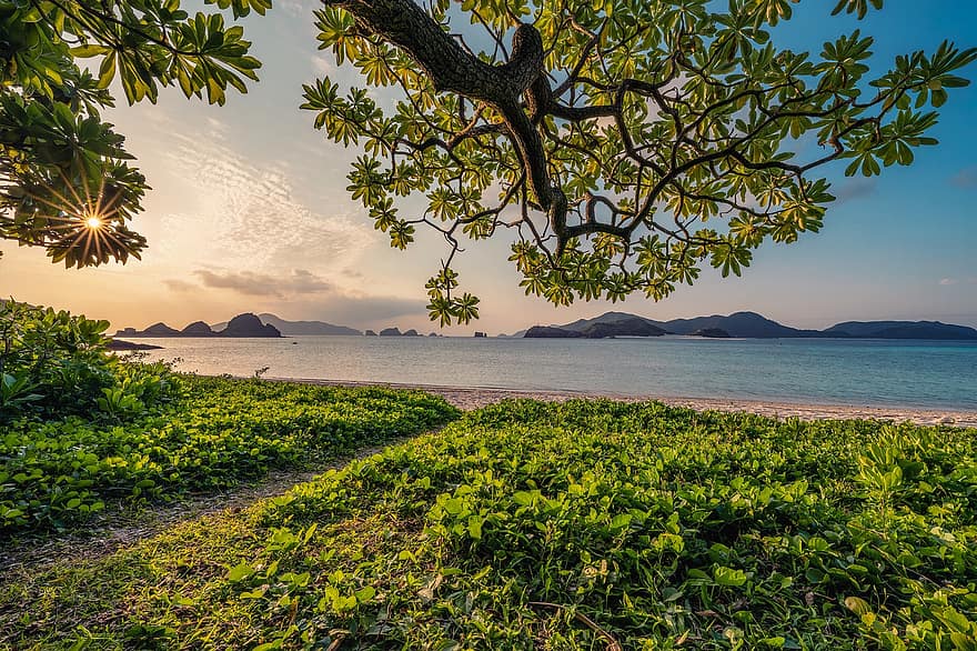 auringonlasku, hiekka, ranta, saaret, puun lehti, subtrooppinen, Okinawa, Japani, kesä, maisema, puu