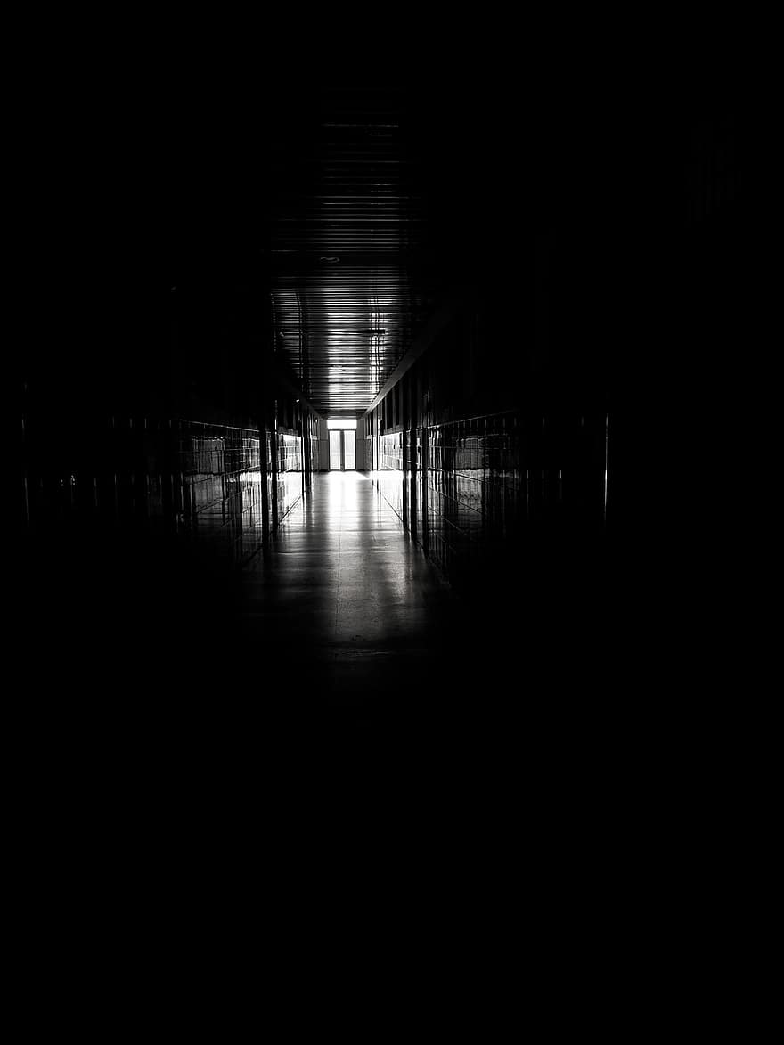 koridor, bangunan, berjalan, menyeberang, cahaya, kegelapan, pintu