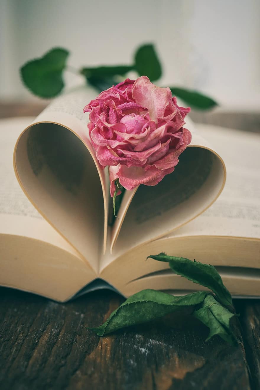 本、読む、読書の愛、葉、ロマンス、愛、花、文献、閉じる、鮮度、テーブル