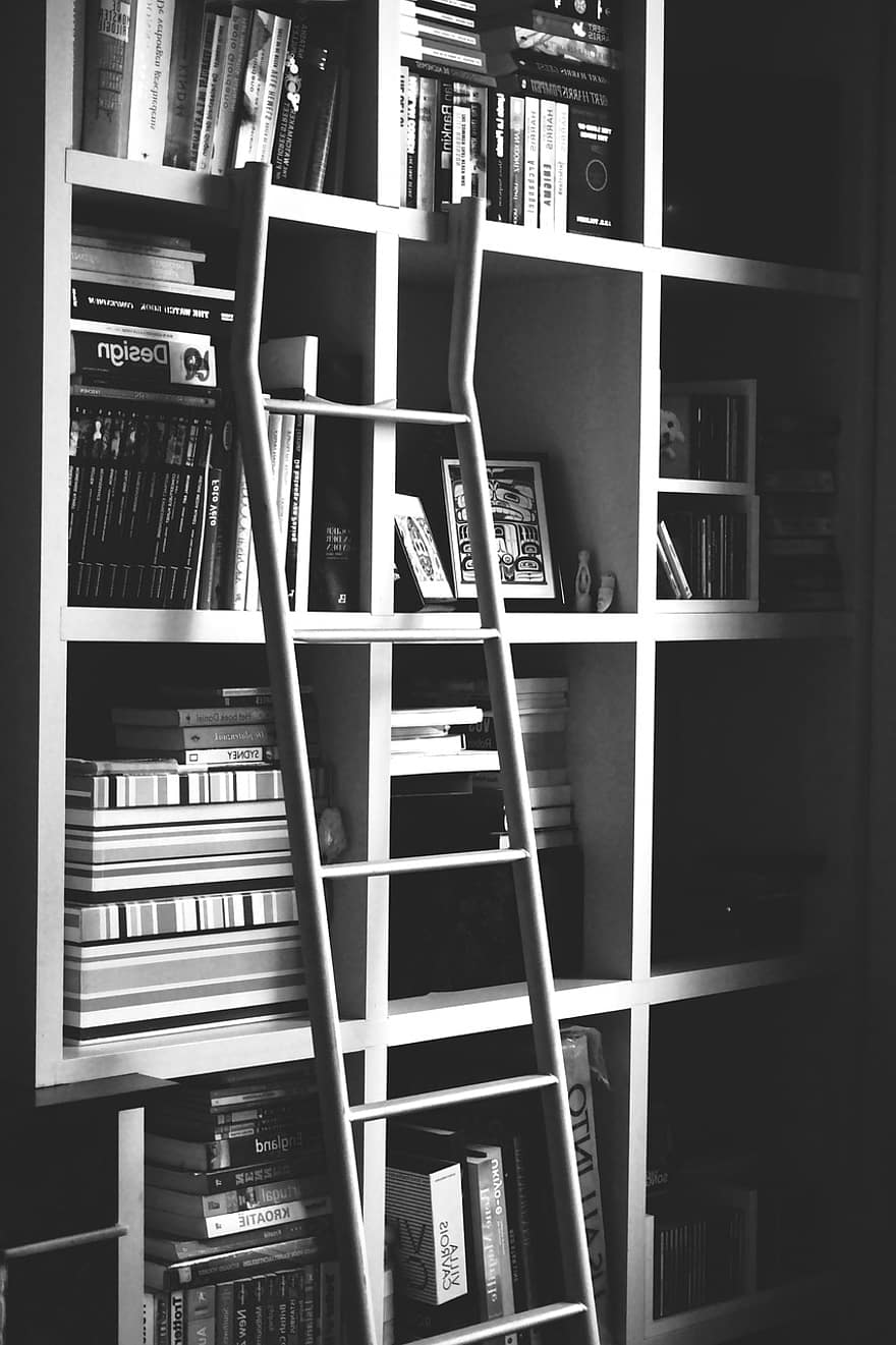 livros, estantes de livros, biblioteca, estantes, literatura, estante, livro, dentro de casa, Educação, coleção, Aprendendo