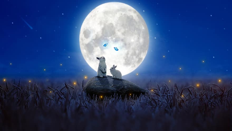 Rabbits, Butterflies, Bunnies, Moon, Moonlight, Rock, Field, Meadow, Grass, Fireflies