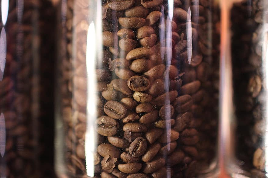 Grain de café en pot, arabica, robusta, café, caféine, arôme, boisson, grain de café, cappuccino, tasse, marron