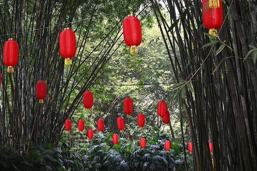 Lanterns, Spring Festival, plant, decoration, green color, summer, multi colored, flower, lantern, leaf, celebration