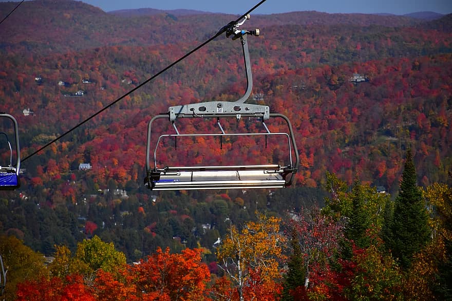 Ropeway, Chairlift, Mountain, Trees, Activity