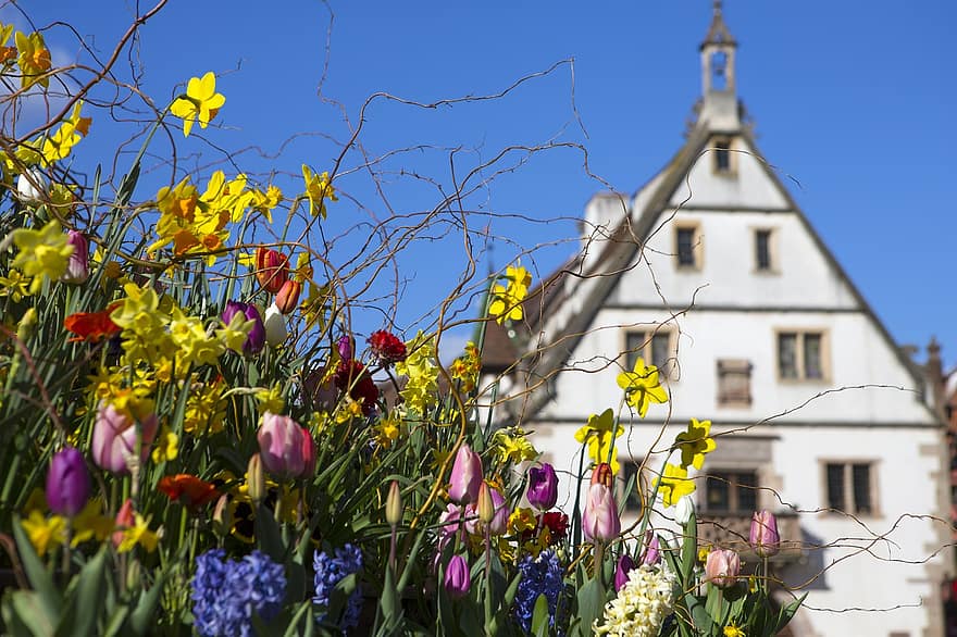 virág, város, tavaszi, Franciaország, húsvéti, Obernai, építészet, kereszténység, híres hely, vallás, épület külső