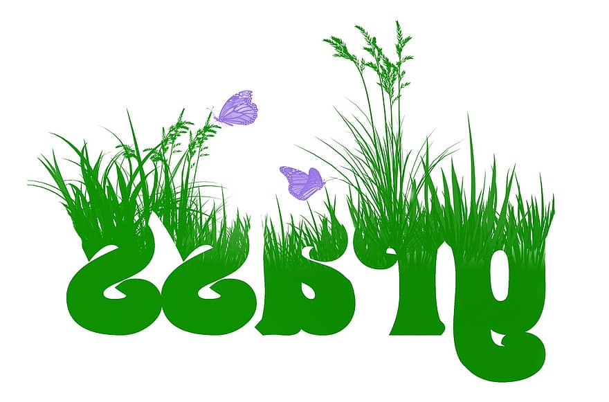 gress, sommerfugler, grønn, å vokse, hage, natur, fauna, flora, hagearbeid