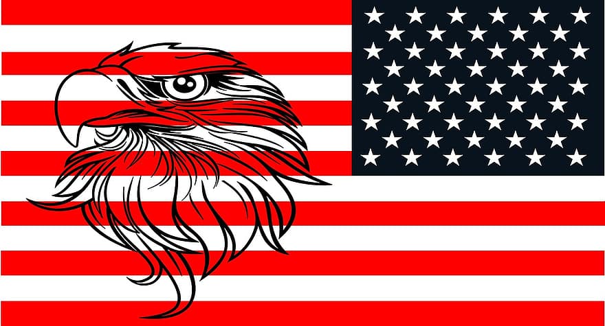 amerikan, flagga, Örn, modig, patriotisk, usa, förenad, stater, dom, symbol, röd