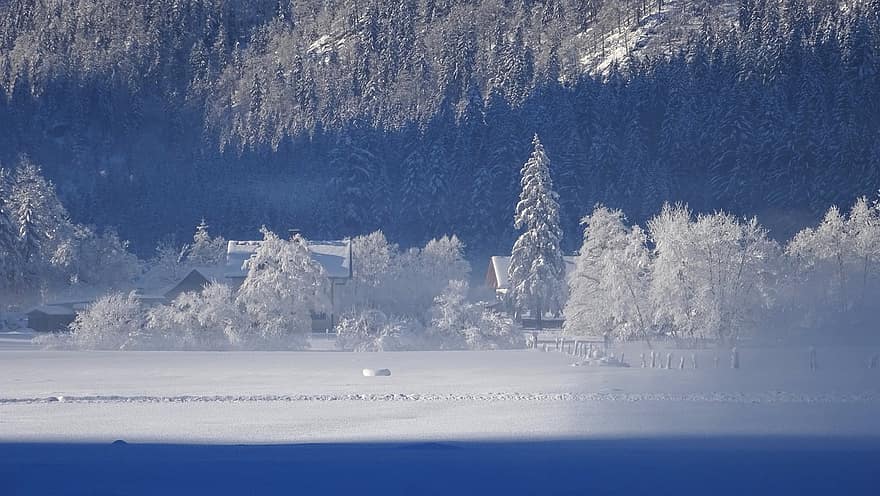 invernal, inverno, névoa, descansar, natureza, panorama, Áustria, frio, geada, floresta de inverno, paisagem de neve
