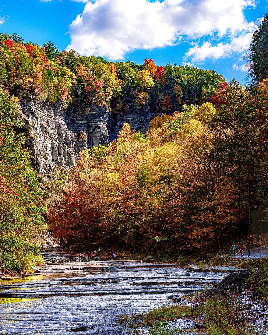 Mountain, River, Fall, Forest, Trees, Foliage, Autumn, Season, Scenery, Scenic, Nature