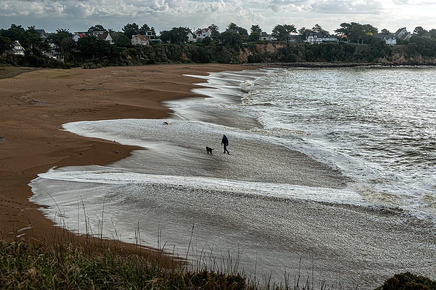 海、ビーチ、おとこ、犬、歩く、波、砂、海洋、自然、水、海岸線