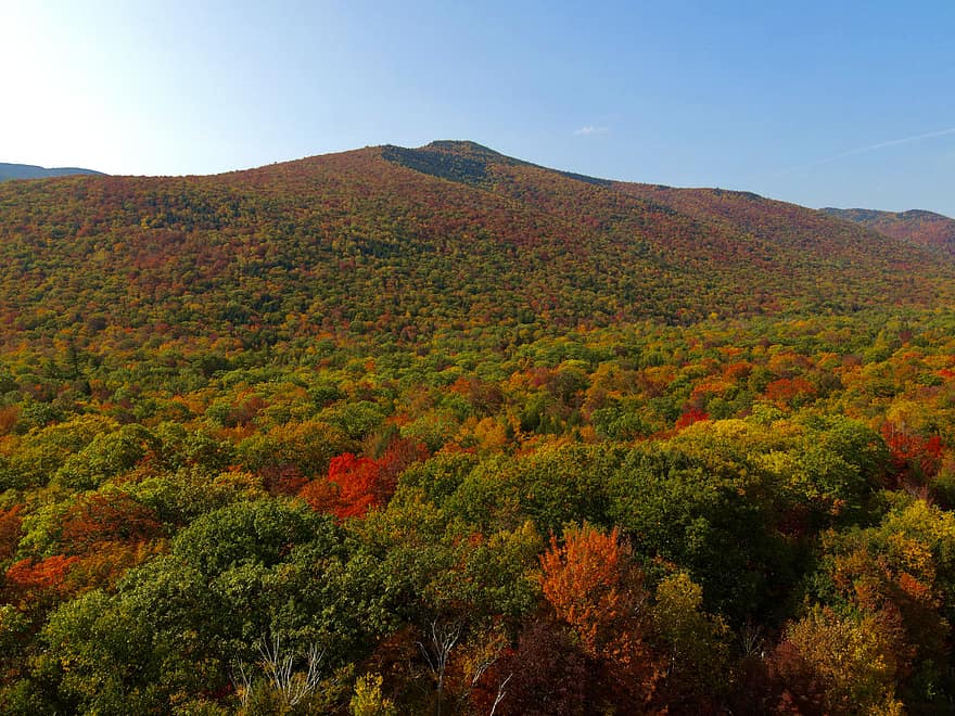 podzim, hora, les, nebe, modrý, barva, listy, říjen, scénický, krajina, klidný