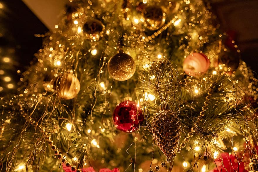 kerstboom, vakantie, seizoen, Kerstmis, decoratie, viering, achtergronden, boom, glimmend, verlicht, detailopname