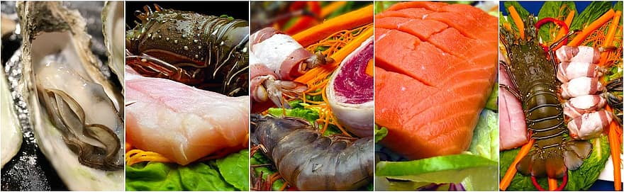 Seafood, Collage, Food, Food Collage, Fish, Dinner, Restaurant, Brown Food, Brown Fish, Brown Restaurant, Brown Dinner