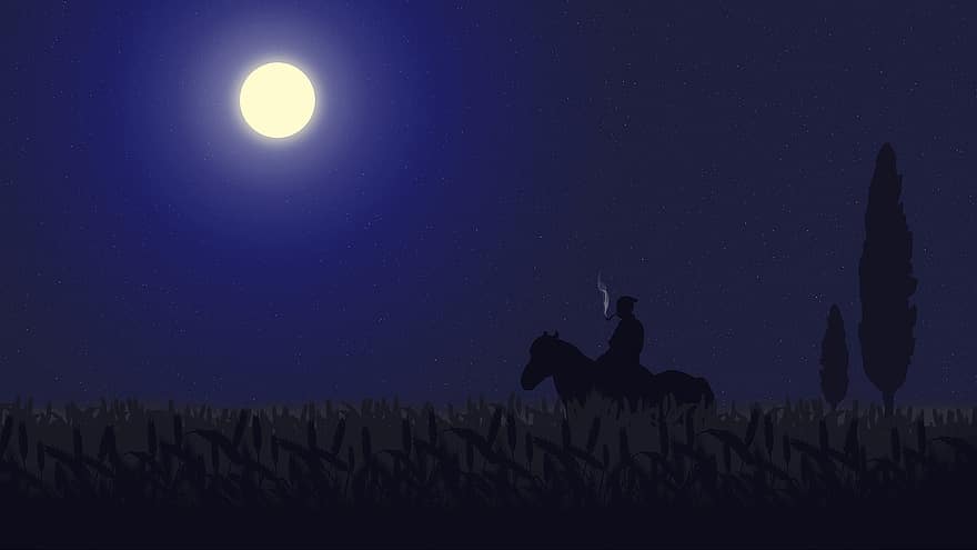 cazac, noapte, Ucraina, peisaj, cer, în vara anului, desktop-, stepă, natură, cal, călăreț