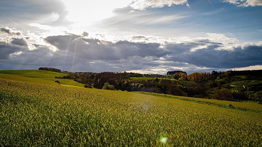 Hill, Field, Landscape, Sauerland, Meadow, Spring, Highlands, Trees, Nature, Sky, Clouds