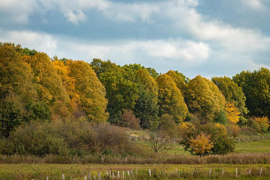 podzim, stromy, plot, ranč, hospodařit, les, lesy, podzimní listí, podzimní barvy, podzimní sezónu, podzimní listy