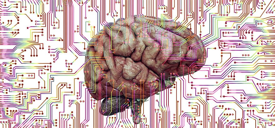creier, gândi, neuroni, circuit, interconectare, Piste de dirijor, rețele, conectat, memorie, multiversului, programare