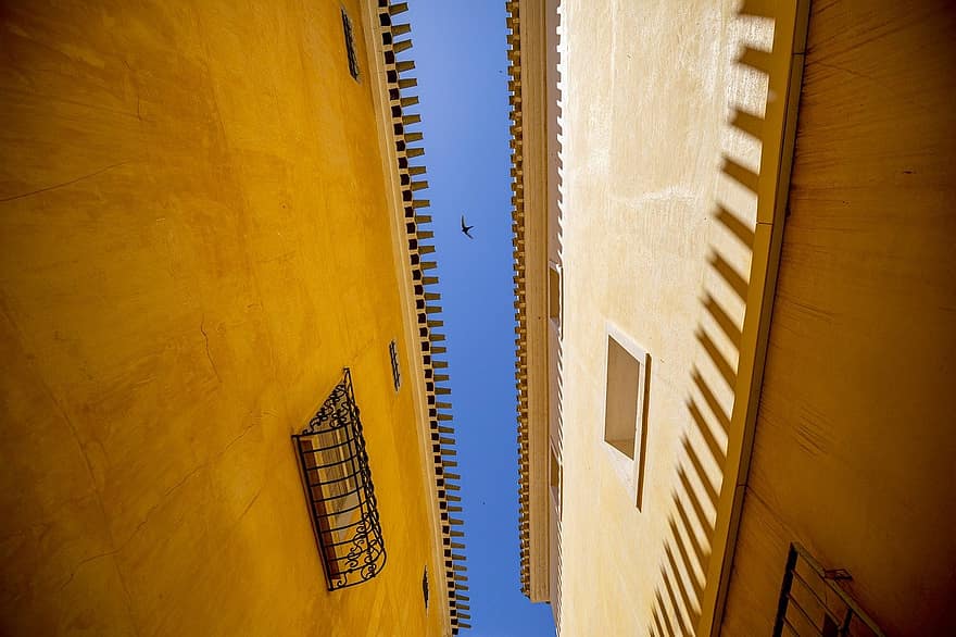 bygninger, huse, himmel, fugl, tag, gade, arkitektur, gammel by, Mula, Murcia, Spanien