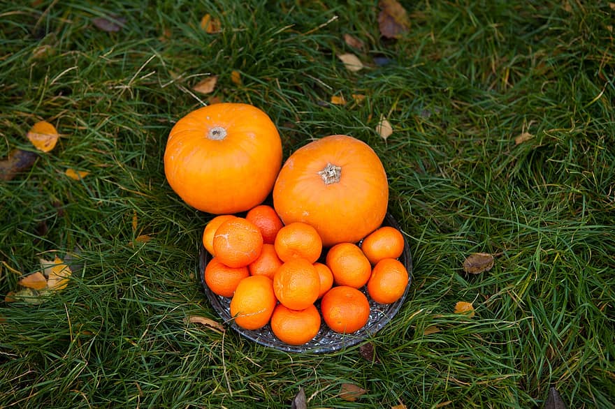 mandarin, gresskar, oransje frukter, fersk, vitaminer, Helloween, frukt