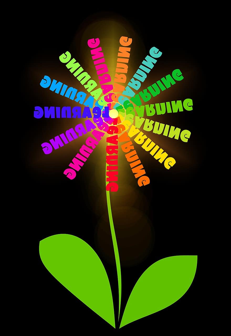 फूल, बढ़ना, रंग, रंगीन, प्रौढ़ शिक्षा, लिखो, ज्ञान, शक्ति, सीखना, प्रशिक्षण, कौशल