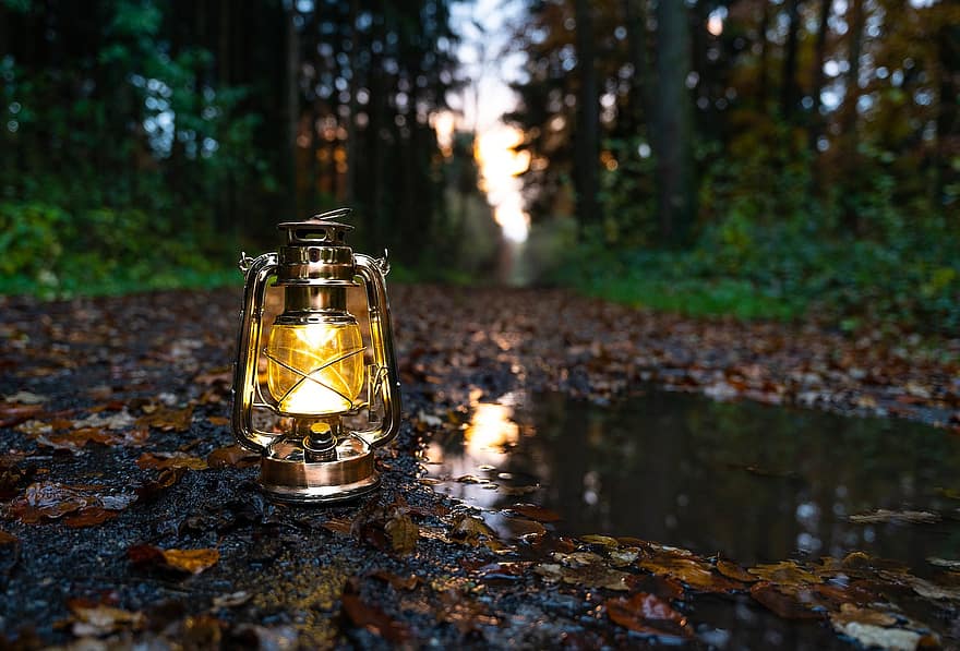 ngọn đèn dầu, đường mòn, cắm trại, rừng, gỗ, đèn dầu, Thiên nhiên