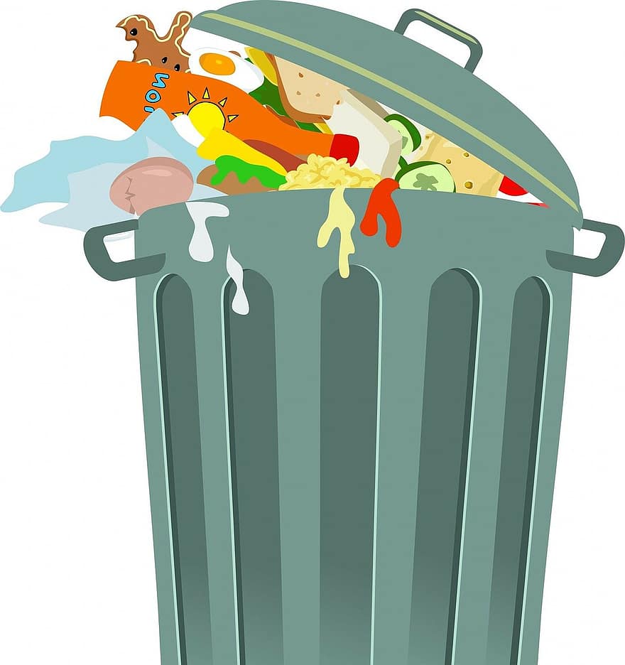 śmieci, mogą, kosz na śmieci, kosz, marnotrawstwo, sprzedaż, schronienie, zdrowie, higiena, usuwanie odpadów