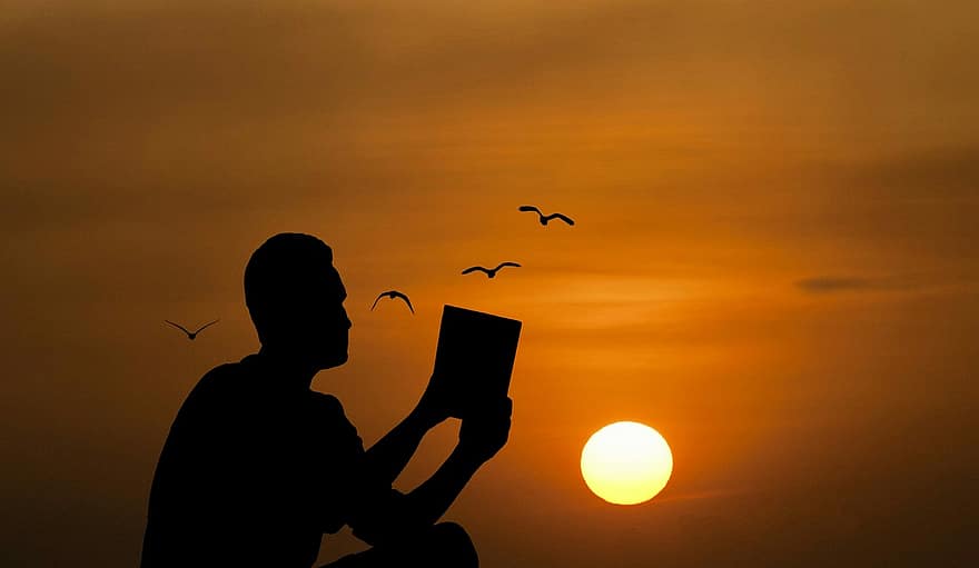 livre, paix, se détendre, étude, silhouette, éducation, seul, séance, loisir, la nature, le coucher du soleil