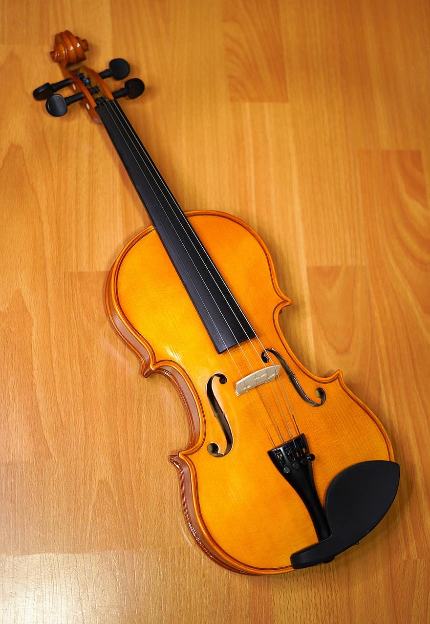 violino, viola, musica, strumento musicale