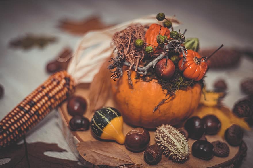 秋、かぼちゃ、秋の装飾、装飾、コーン、バックグラウンド、栗、はがき、秋の気分
