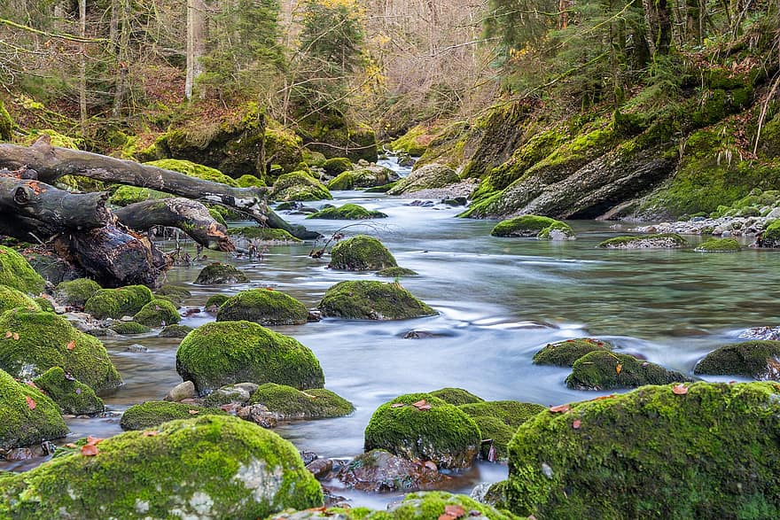 Rocks, Stream, Brook, Trees, Bach, Nature, Landscape, Flow, Flowing Water, Moss, Mossy