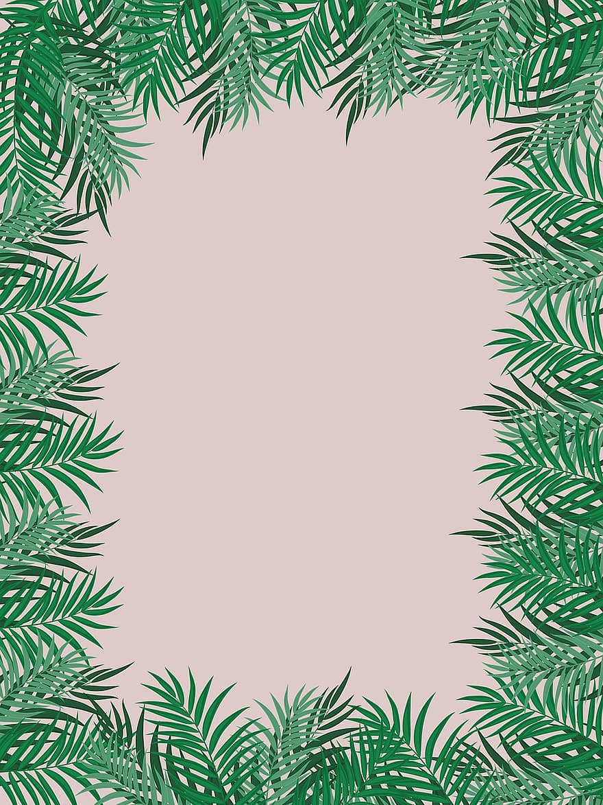 джунгла, листо, кадър, граница, графичен, дизайн, заден план, графичен дизайн, розов