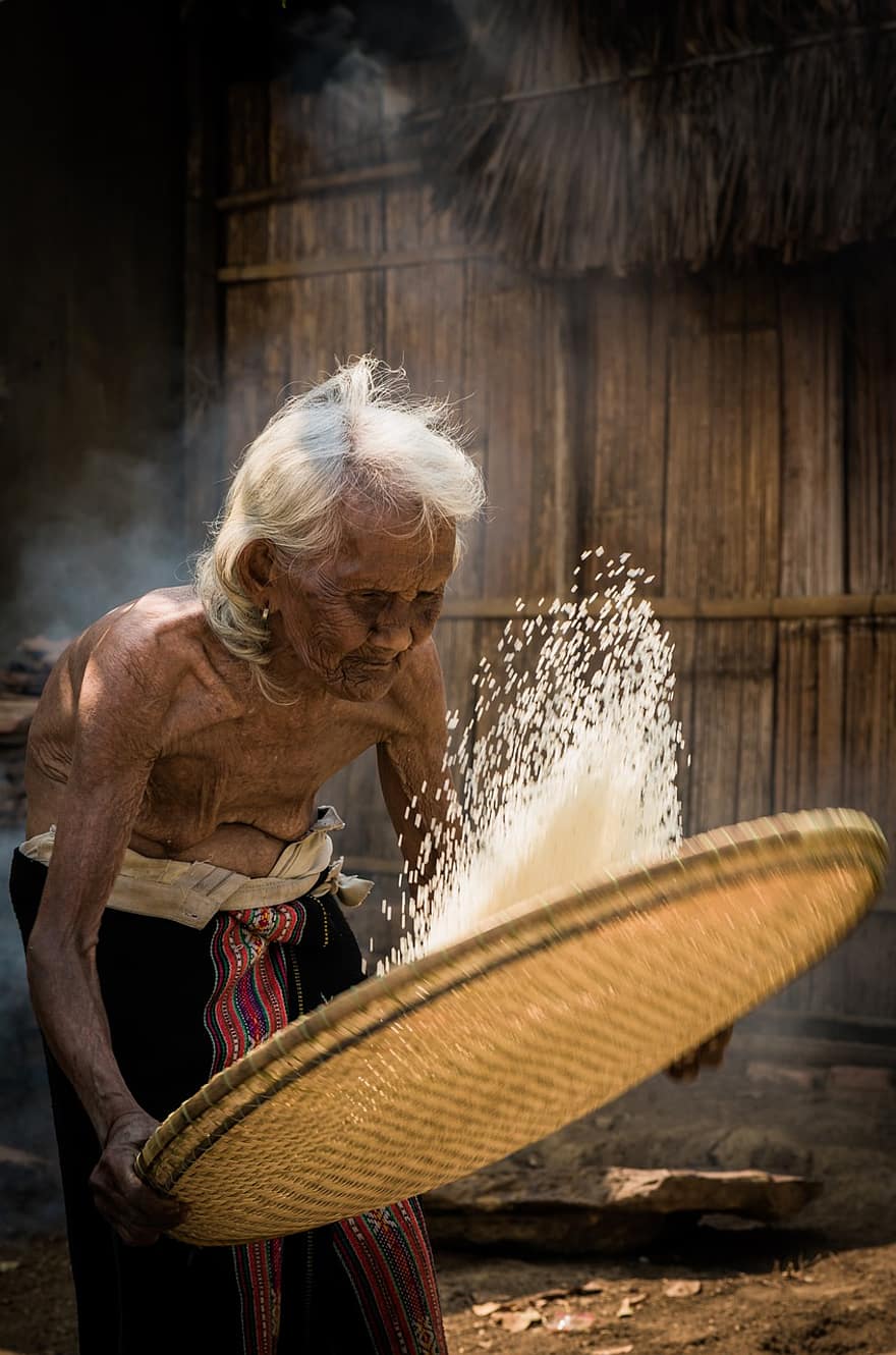 idős nő, rizs, feldobás, régi, hagyományos, idős, idős asszony, portré