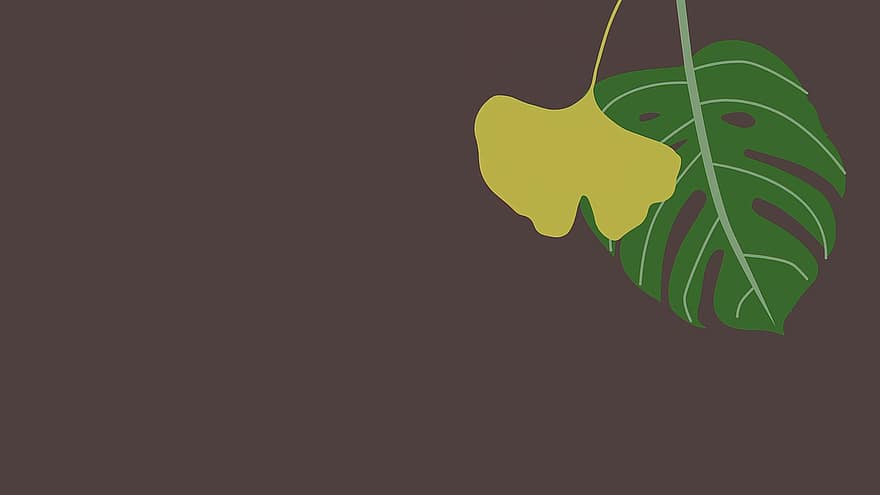 blade, løv, planter, mønster, grøn, tapet, rhododendron blade, Blad Ginkobiloba, baggrund
