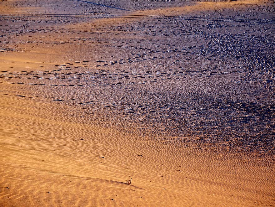 Wüste, draussen, Sand, Reise, Landschaft, Einsamkeit