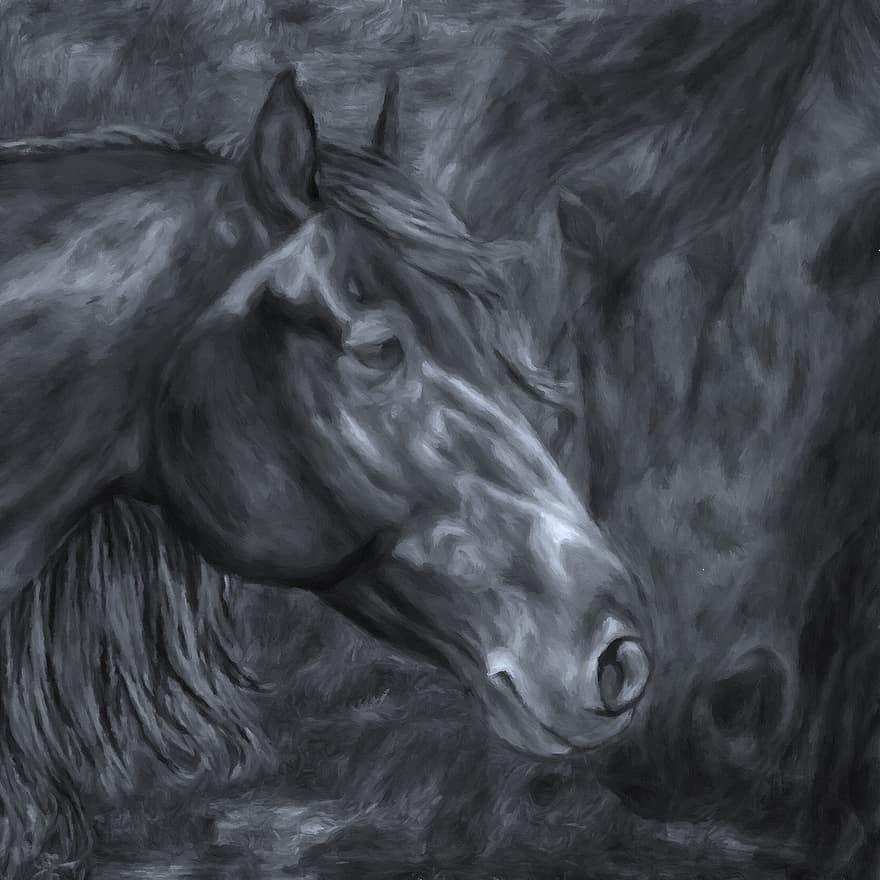 arklio galva, gyvūnas, arkliai, kailiai, komanda, ūkis, važiuoti, juoda, tekstūra, pakartojimas, atvirukas