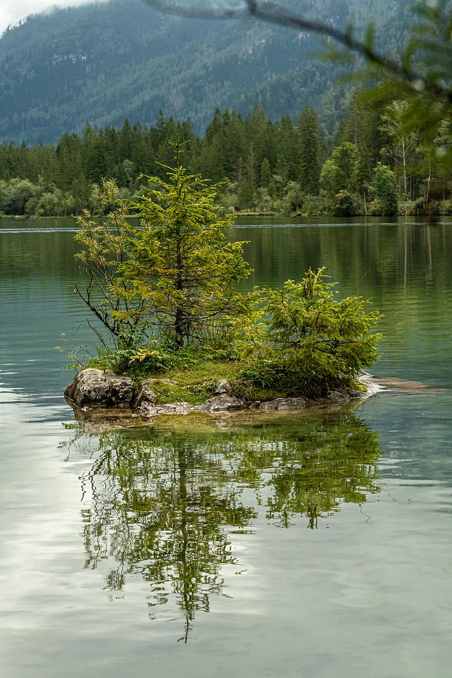 lac, copaci, plante, reflecţie, oglindire, imagine in oglinda, munţi, bavaria, Berchtesgaden, Hintersee, alpin
