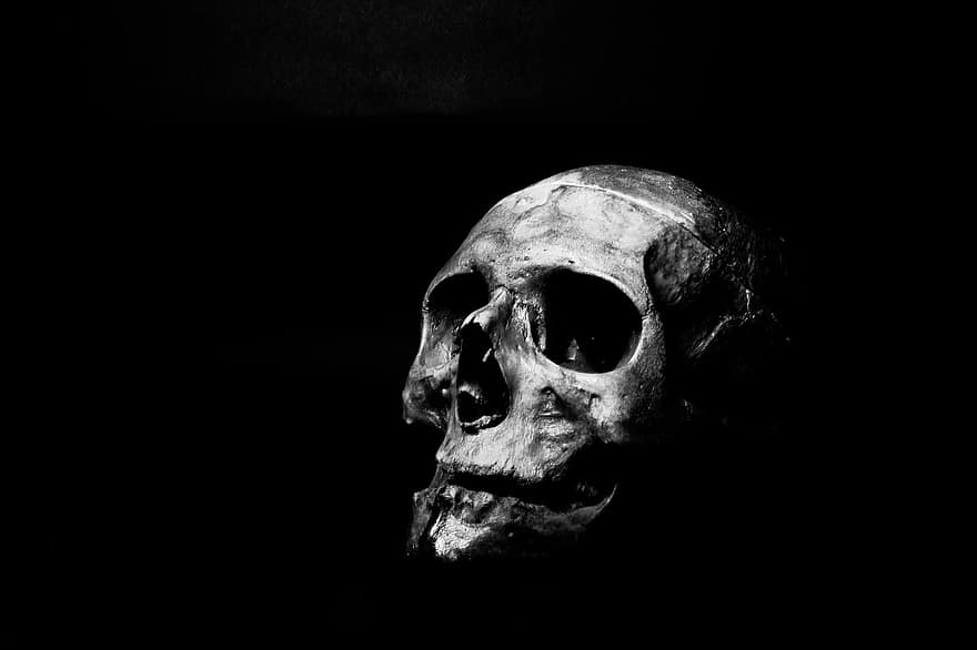 skalle, mänsklig, skelett, ben, huvud, död, kuslig, göra, kranium, skrämmande, halloween