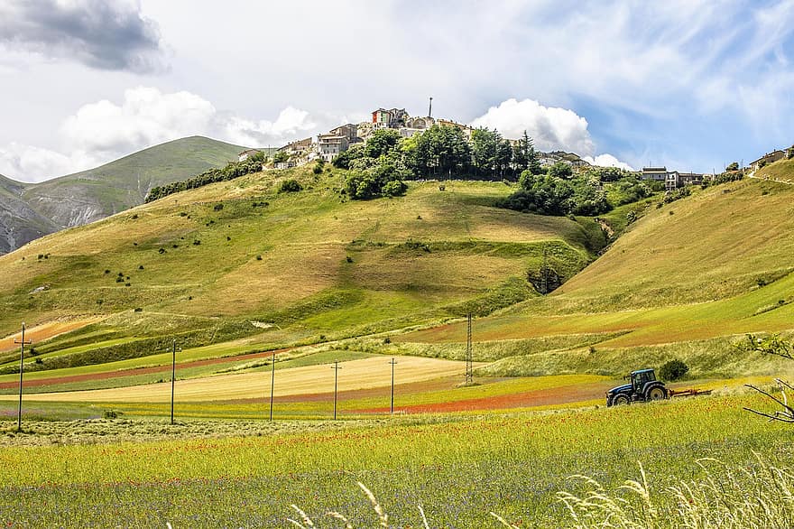 virágok, mező, gyep, tavaszi, castelluccio di norcia, Umbria, vidéki táj, tájkép, hegy, fű, tanya