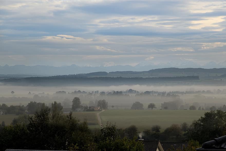 niebla, paisaje, calina, colina, extensión, niebla de la manana, naturaleza, Bernese Seeland, bern, escena rural, árbol