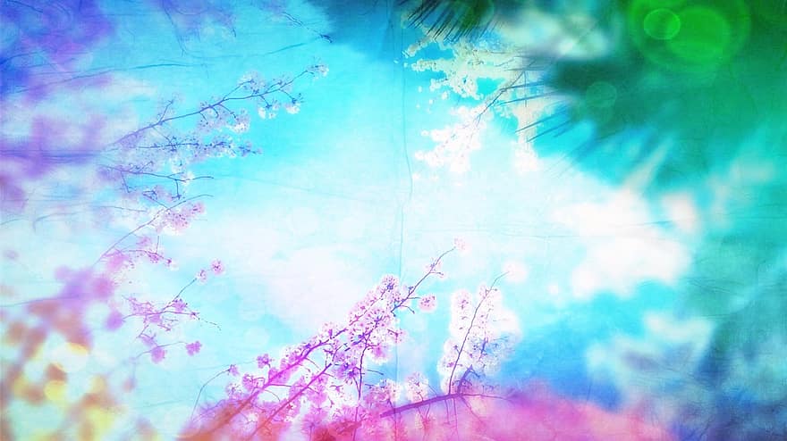 Spring, Sky, Color, Background, Light