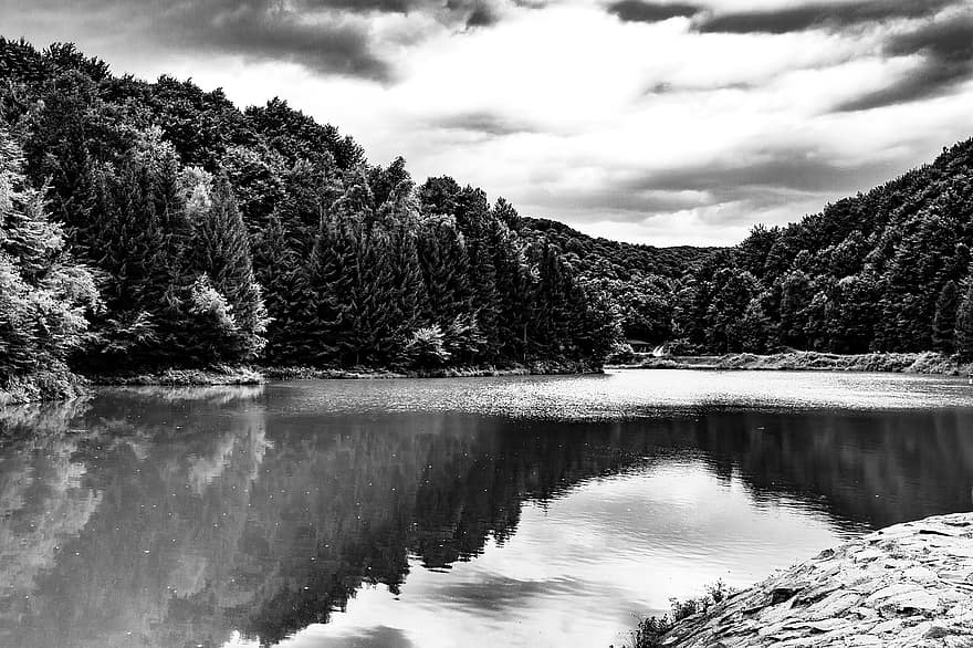 lago, foresta, natura, bianco e nero, montagne, alberi, acqua, riflessione